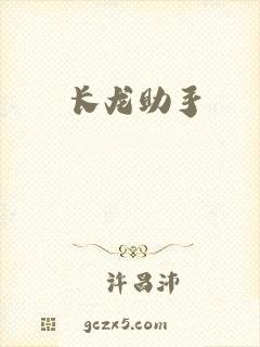 长龙助手